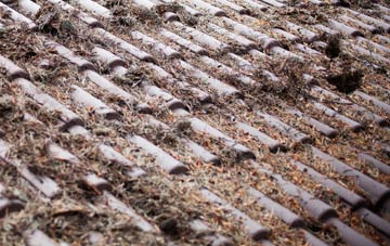 Trusham roof cleaning companies