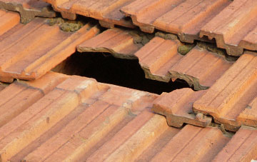 roof repair Trusham, Devon