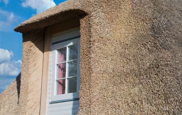 Trusham thatch roof disadvantages
